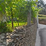 Vakantiehuis Casa Da Tia Bina