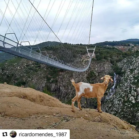 Dom wakacyjny Casa Da Tia Bina