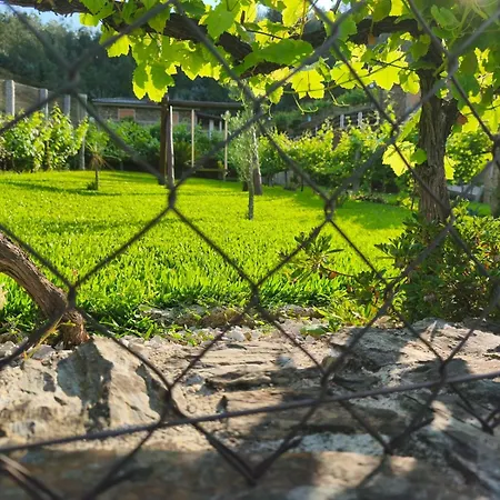 Casa Da Tia Bina * Castelo de Paiva