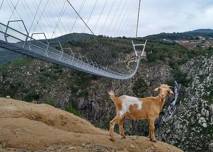 度假居 Casa Da Tia Bina