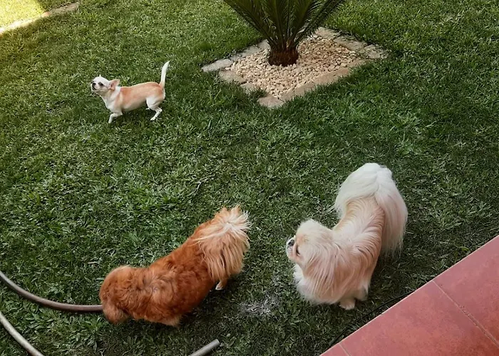 펜션 Casa Da Tia Bina