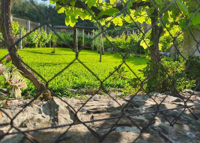 Casa Da Tia Bina * 派瓦堡